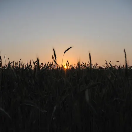 Privatquartier 73 3*